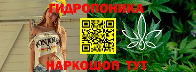 мет Вышний Волочёк