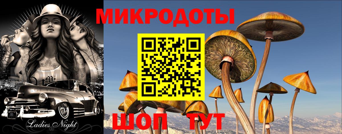 Галлюциногенные грибы Psilocybine cubensis  Псилоцибиновые грибы мицелий  Белореченск  Вход с VPN 